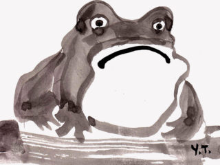 Grumpy Frog